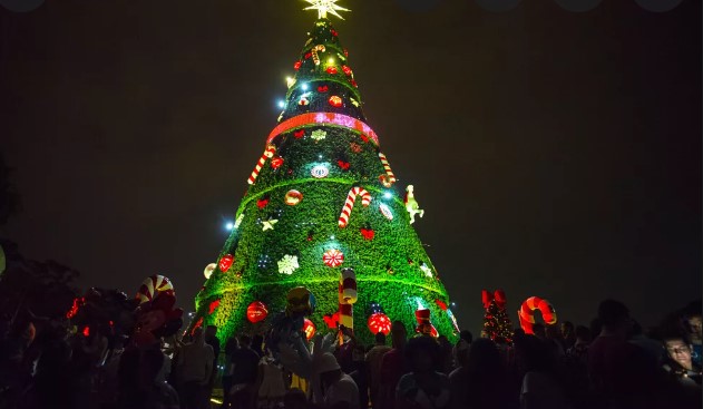 Neste ano Àrvore de Natal de São Paulo será erguida no Parque Villa-Lobos -  Mais Paulista